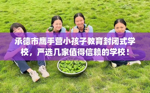 承德市鹰手营小孩子教育封闭式学校，严选几家值得信赖的学校！