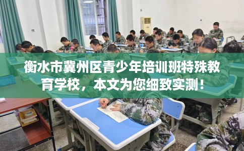 衡水市冀州区青少年培训班特殊教育学校，本文为您细致实测！