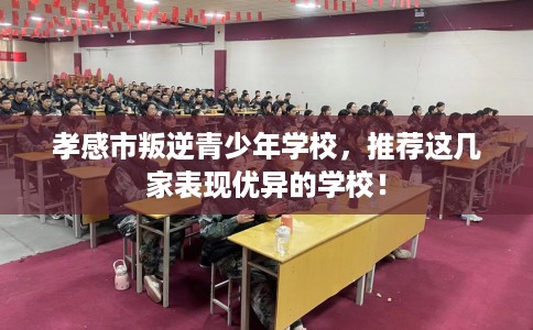 孝感市叛逆青少年学校，推荐这几家表现优异的学校！