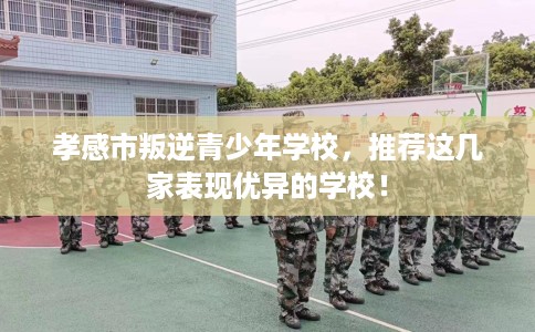 孝感市叛逆青少年学校，推荐这几家表现优异的学校！