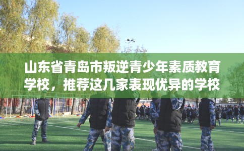 山东省青岛市叛逆青少年素质教育学校，推荐这几家表现优异的学校！