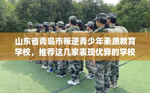 山东省青岛市叛逆青少年素质教育学校，推荐这几家表现优异的学校！