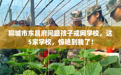 聊城市东昌府问题孩子戒网学校，这5家学校，惊艳到我了！