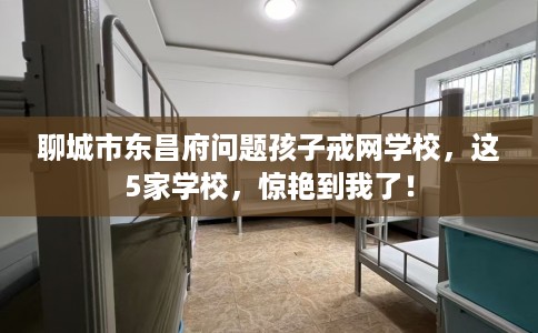 聊城市东昌府问题孩子戒网学校，这5家学校，惊艳到我了！