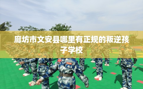 廊坊市文安县哪里有正规的叛逆孩子学校