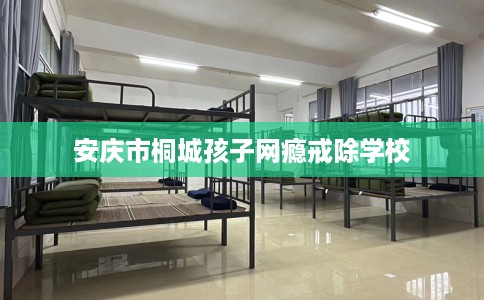 安庆市桐城孩子网瘾戒除学校 安庆市桐城孩子网瘾戒除学校