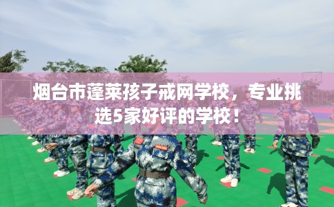 烟台市蓬莱孩子戒网学校，专业挑选5家好评的学校！