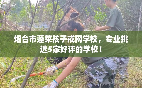 烟台市蓬莱孩子戒网学校，专业挑选5家好评的学校！