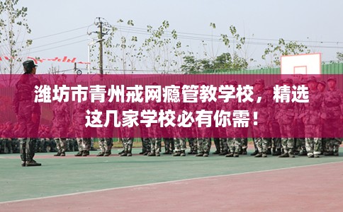 潍坊市青州戒网瘾管教学校，精选这几家学校必有你需！