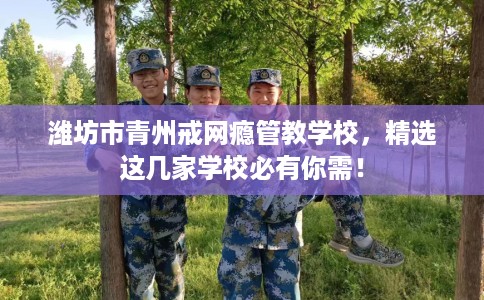 潍坊市青州戒网瘾管教学校，精选这几家学校必有你需！