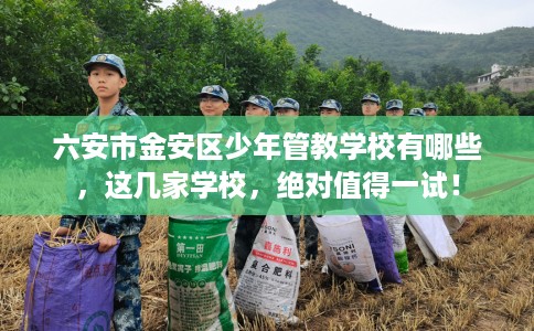 六安市金安区少年管教学校有哪些，这几家学校，绝对值得一试！