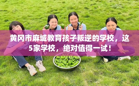 黄冈市麻城教育孩子叛逆的学校,这5家学校,绝对值得一试! 黄冈市麻城教育孩子叛逆的学校,这5家学校,绝对值得一试!
