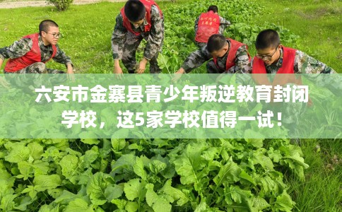 六安市金寨县青少年叛逆教育封闭学校，这5家学校值得一试！