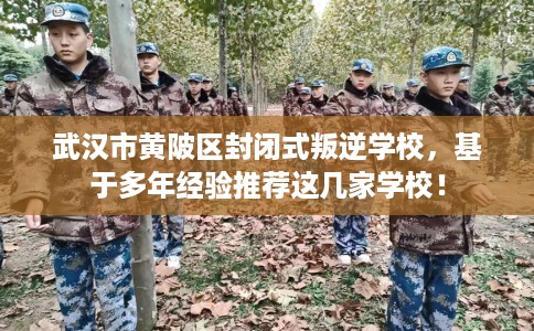 武汉市黄陂区封闭式叛逆学校，基于多年经验推荐这几家学校！