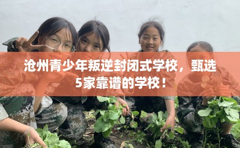 沧州青少年叛逆封闭式学校，甄选5家靠谱的学校！