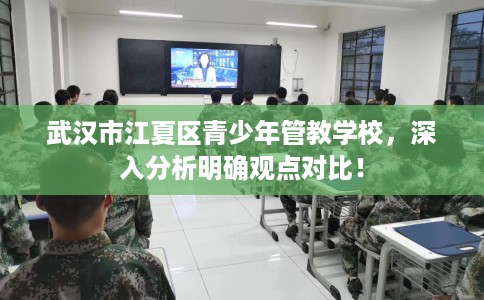 武汉市江夏区青少年管教学校，深入分析明确观点对比！