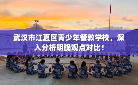 武汉市江夏区青少年管教学校，深入分析明确观点对比！