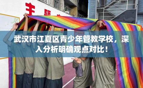 武汉市江夏区青少年管教学校，深入分析明确观点对比！