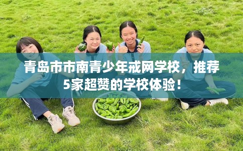 青岛市市南青少年戒网学校，推荐5家超赞的学校体验！