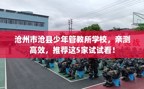 沧州市沧县少年管教所学校，亲测高效，推荐这5家试试看！