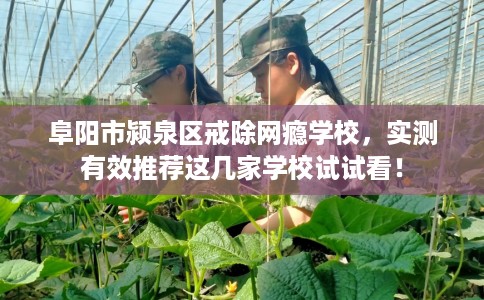 阜阳市颍泉区戒除网瘾学校,实测有效推荐这几家学校试试看! 阜阳市颍泉区戒除网瘾学校,实测有效推荐这几家学校试试看!