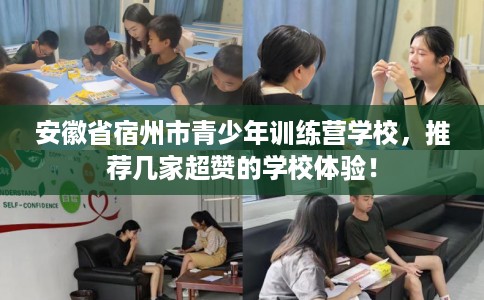 安徽省宿州市青少年训练营学校，推荐几家超赞的学校体验！