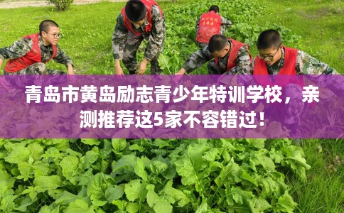 青岛市黄岛励志青少年特训学校，亲测推荐这5家不容错过！