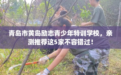青岛市黄岛励志青少年特训学校，亲测推荐这5家不容错过！