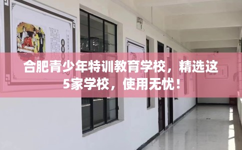 合肥青少年特训教育学校，精选这5家学校，使用无忧！