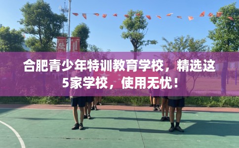 合肥青少年特训教育学校，精选这5家学校，使用无忧！