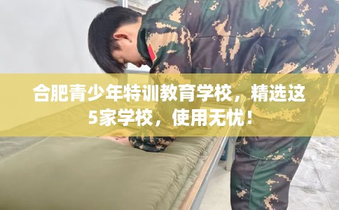 合肥青少年特训教育学校，精选这5家学校，使用无忧！