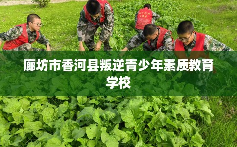 廊坊市香河县叛逆青少年素质教育学校