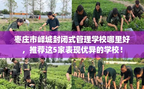枣庄市峄城封闭式管理学校哪里好，推荐这5家表现优异的学校！
