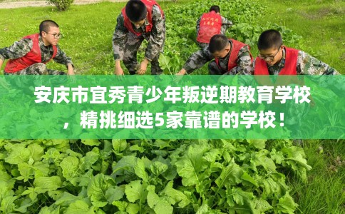 安庆市宜秀青少年叛逆期教育学校，精挑细选5家靠谱的学校！