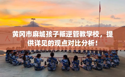 黄冈市麻城孩子叛逆管教学校，提供详见的观点对比分析！