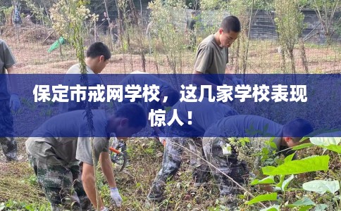 保定市戒网学校，这几家学校表现惊人！