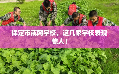 保定市戒网学校，这几家学校表现惊人！