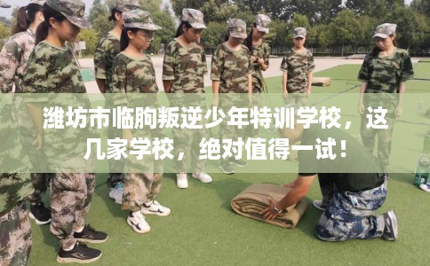 潍坊市临朐叛逆少年特训学校，这几家学校，绝对值得一试！