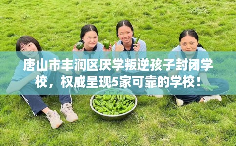 唐山市丰润区厌学叛逆孩子封闭学校，权威呈现5家可靠的学校！