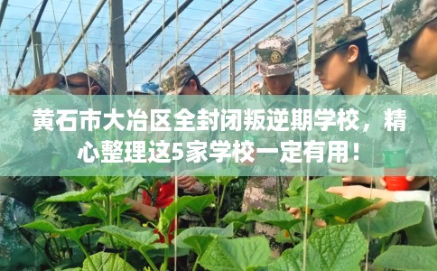 黄石市大冶区全封闭叛逆期学校，精心整理这5家学校一定有用！
