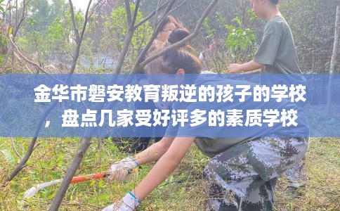 金华市磐安教育叛逆的孩子的学校，盘点几家受好评多的素质学校