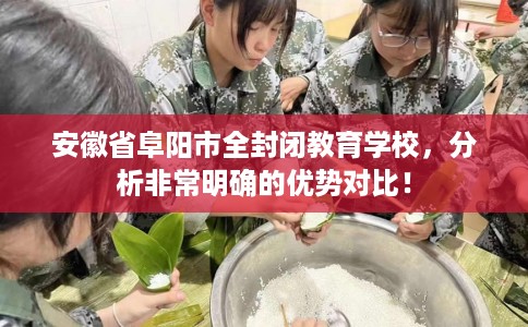 安徽省阜阳市全封闭教育学校，分析非常明确的优势对比！
