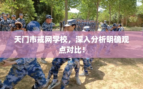 天门市戒网学校，深入分析明确观点对比！
