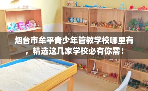 烟台市牟平青少年管教学校哪里有，精选这几家学校必有你需！