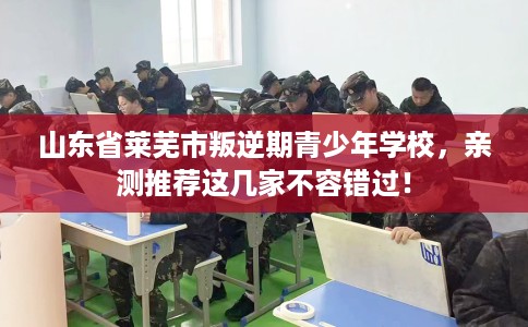山东省莱芜市叛逆期青少年学校，亲测推荐这几家不容错过！