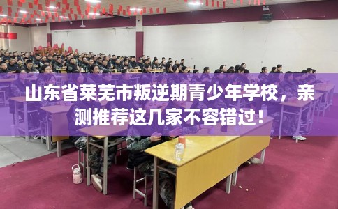 山东省莱芜市叛逆期青少年学校，亲测推荐这几家不容错过！