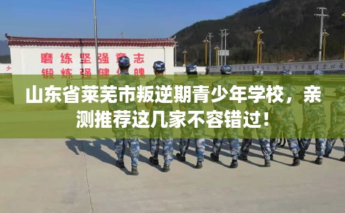 山东省莱芜市叛逆期青少年学校，亲测推荐这几家不容错过！