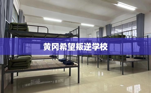 黄冈希望叛逆学校