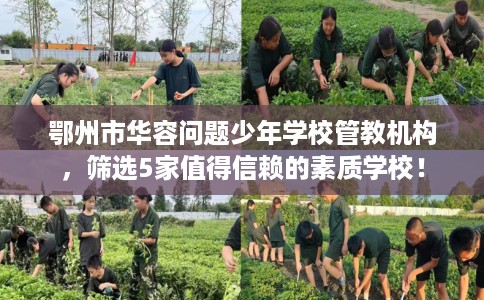 鄂州市华容问题少年学校管教机构，筛选5家值得信赖的素质学校！