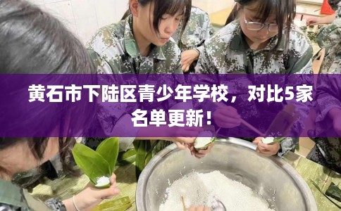 黄石市下陆区青少年学校，对比5家名单更新！